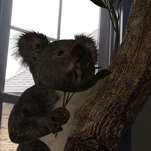 Meet your Posher, Charles